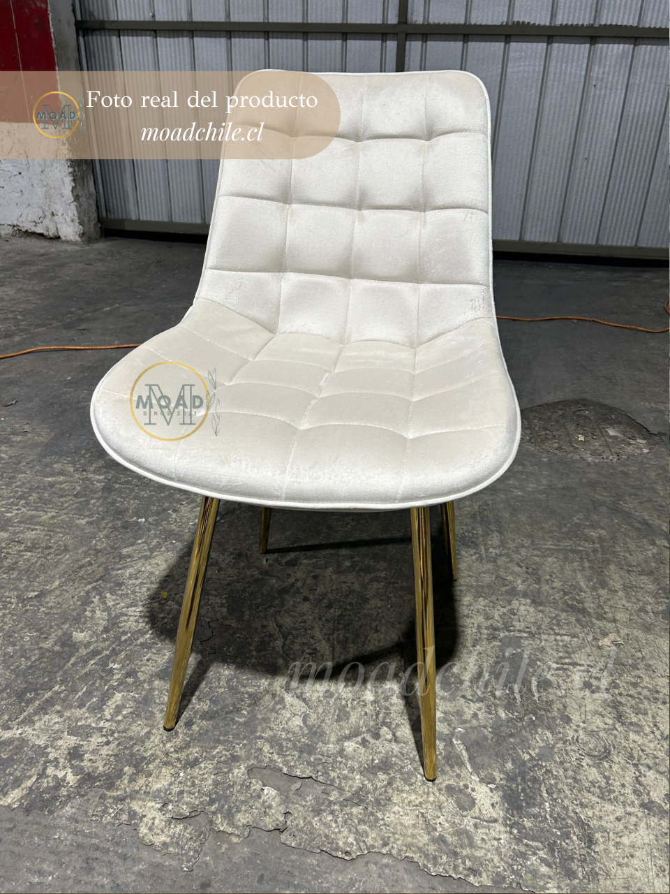 Silla de Comedor Macron Terciopelo patas doradas