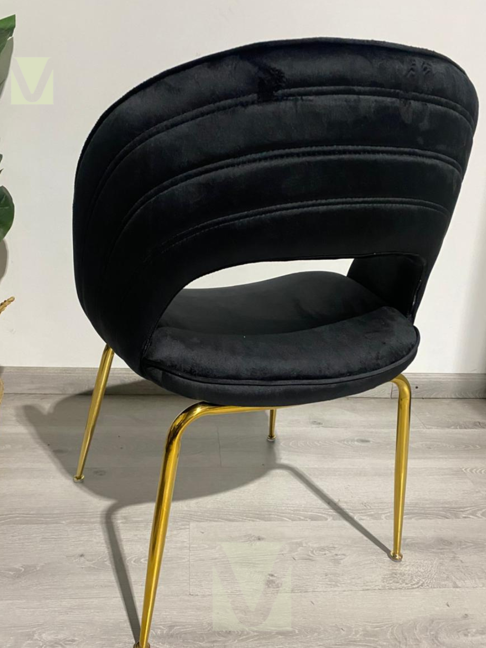 Sitial Siena Premium Gold