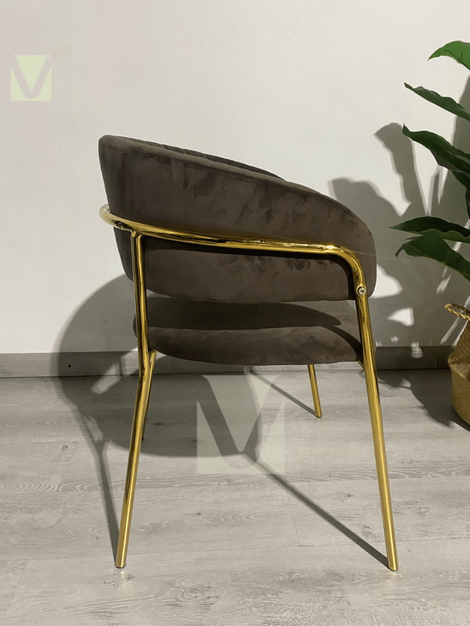 Sitial Velvet Max