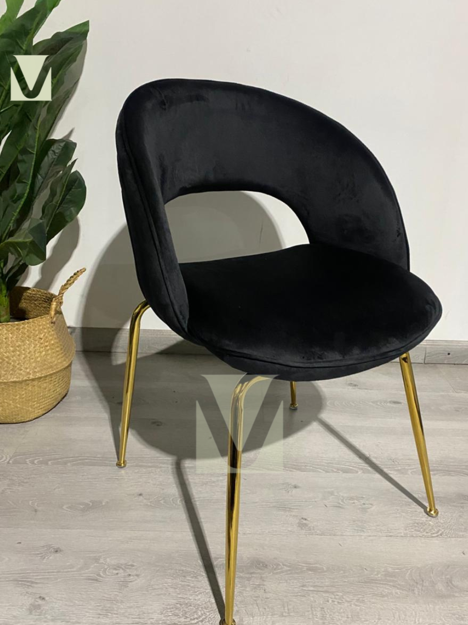 Sitial Siena Premium Gold