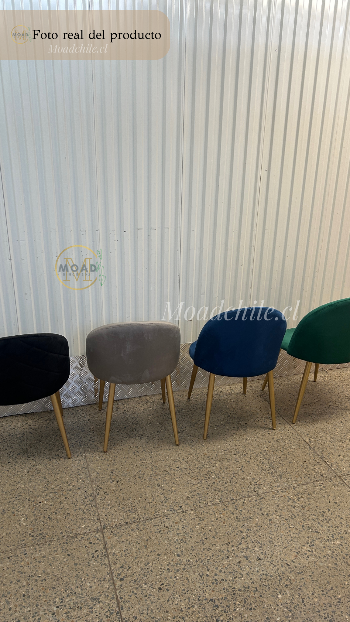 Pack 4 Sillas Terciopelo Gold