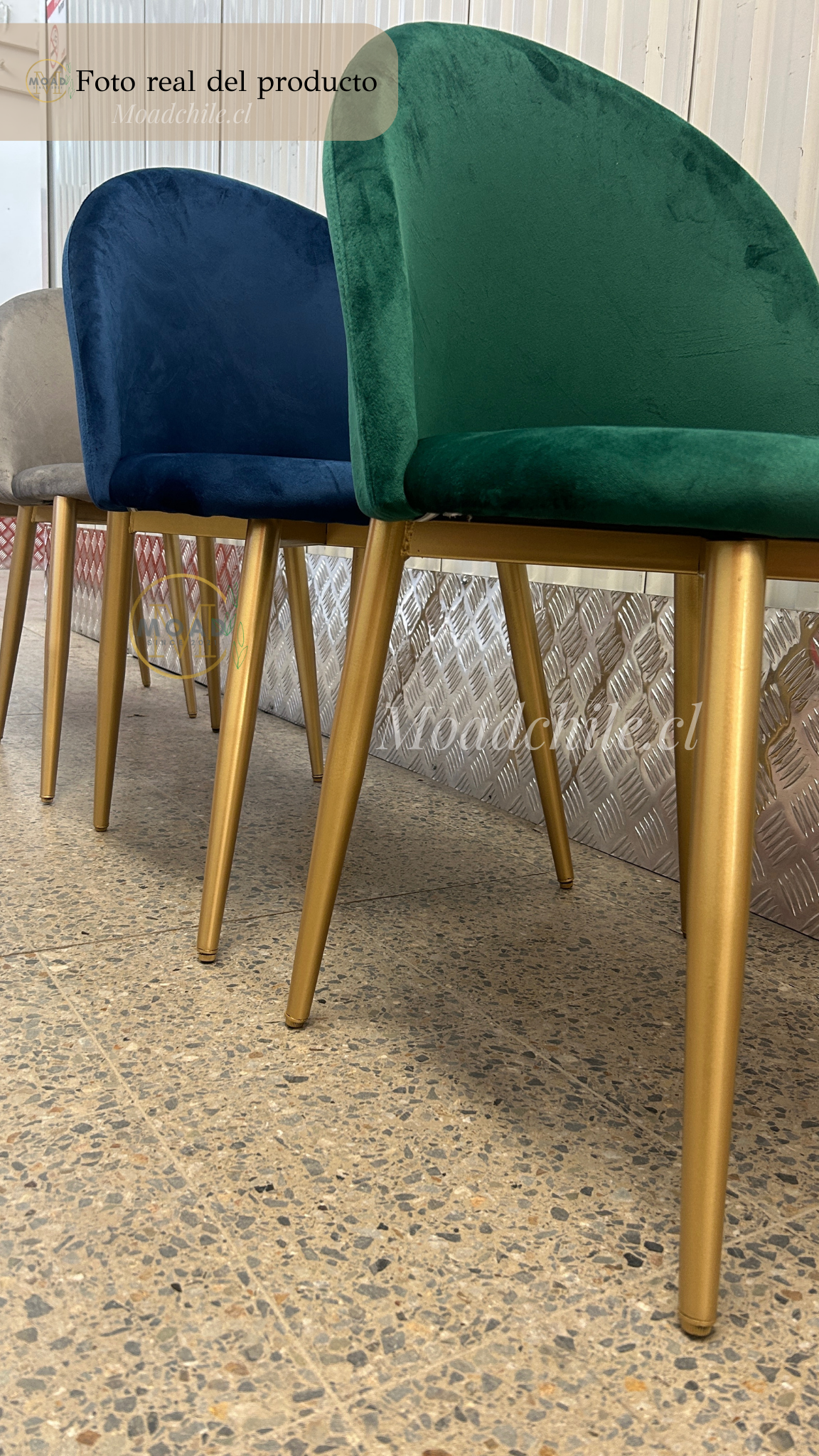 Pack 4 Sillas Terciopelo Gold