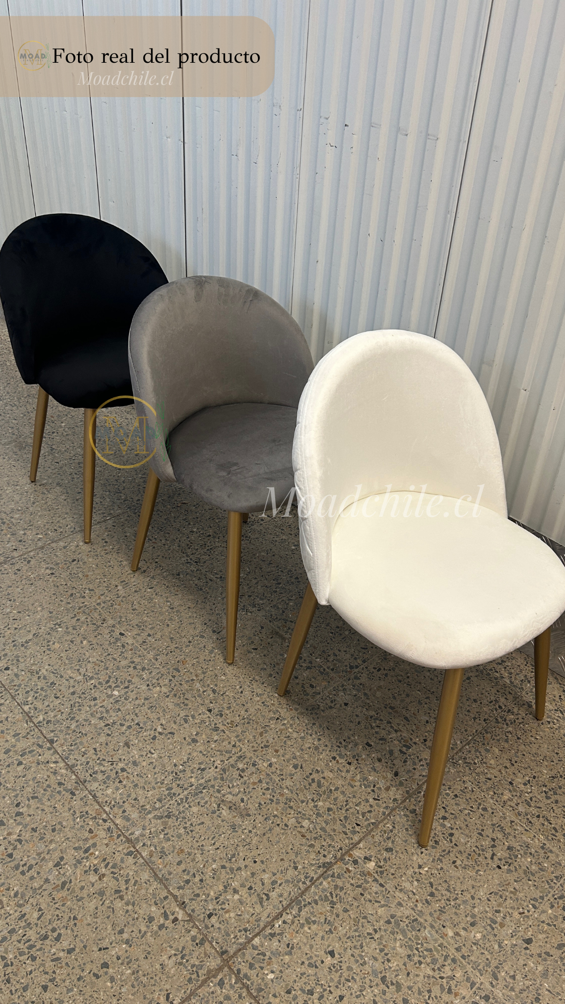 Silla Terciopelo Gold