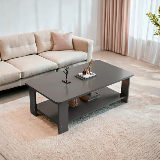 Mesa de Centro Gris 100x50 - Diseño Moderno en MDF