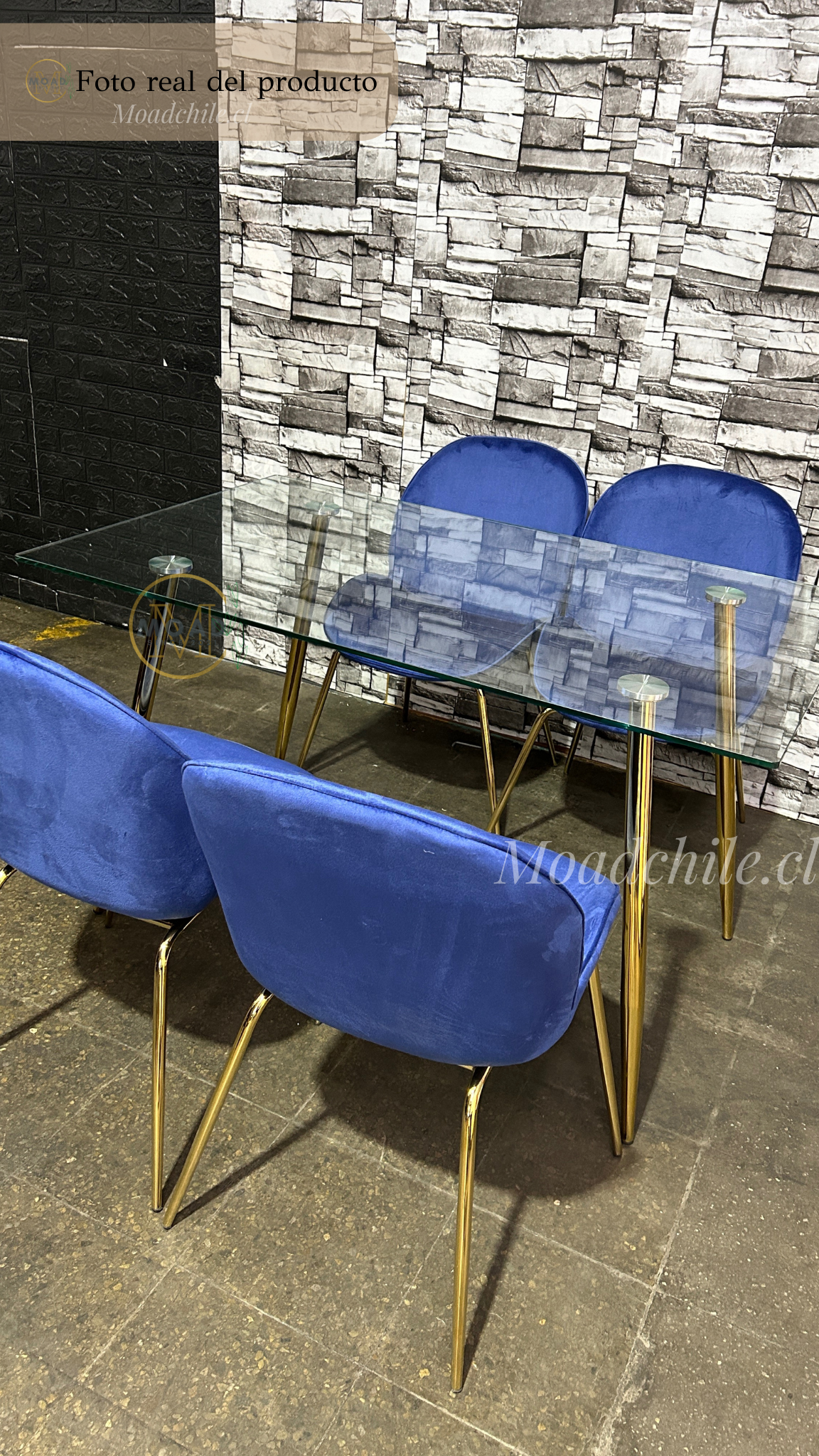 Comedor Rectangular Premium Beetle Glass 4P