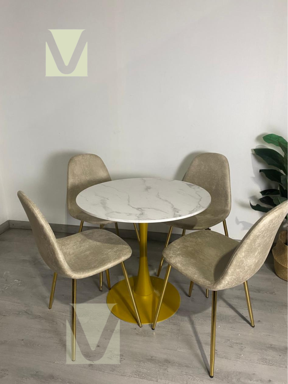 Comedor Alma tulip Vintage Gold 4P