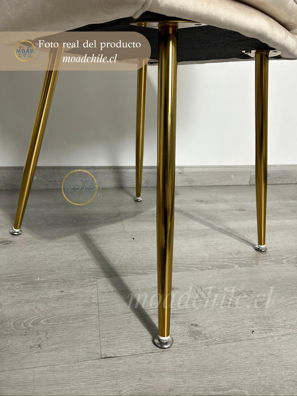 Sitial Poltrona Diamante Patas doradas