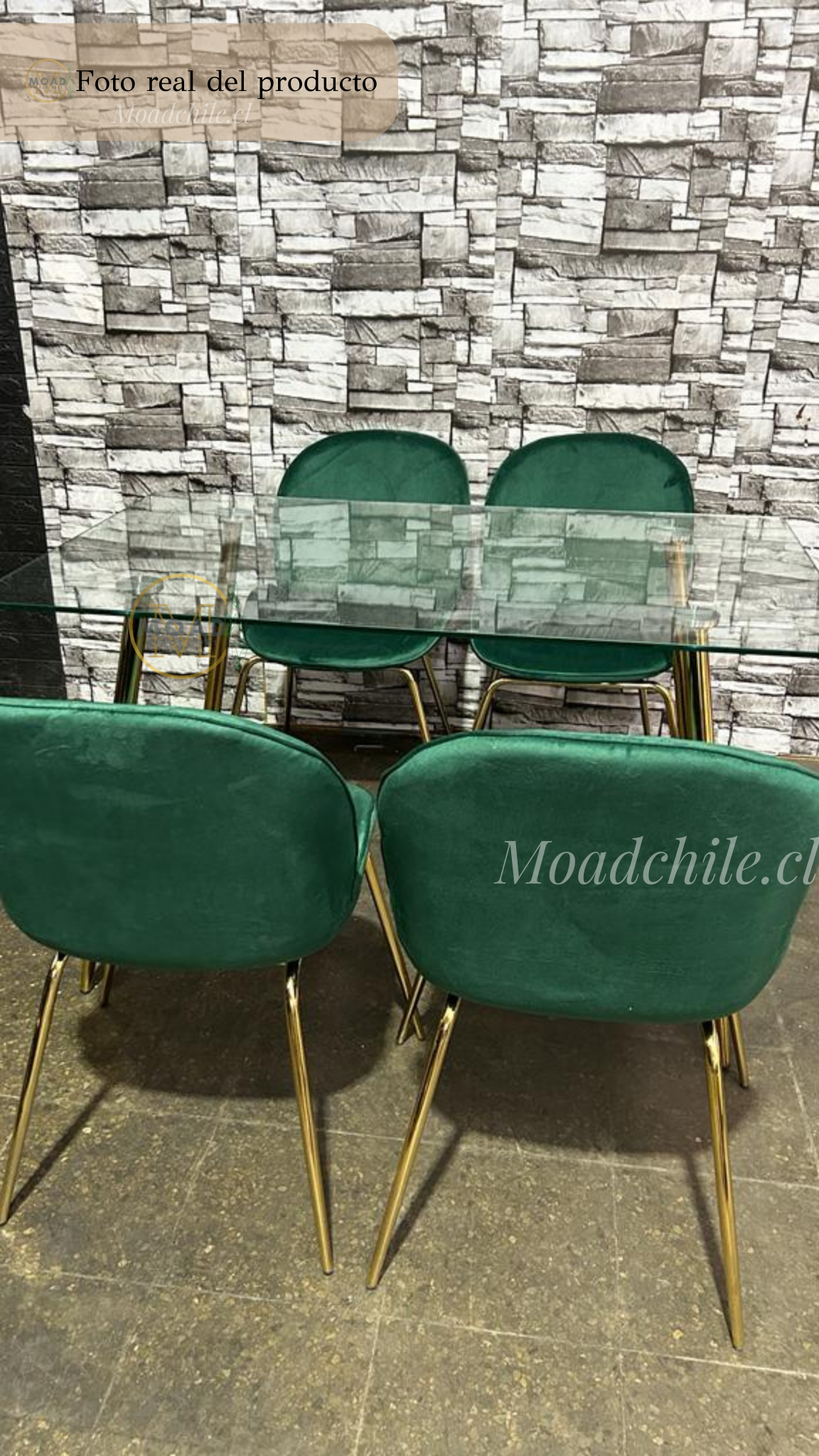 Comedor Rectangular Premium Beetle Glass 6P