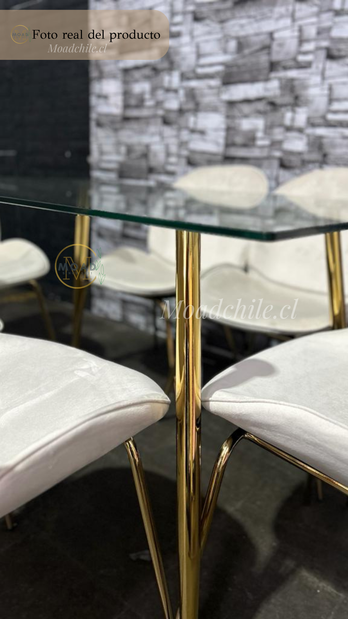 Comedor Rectangular Premium Beetle Glass 4P