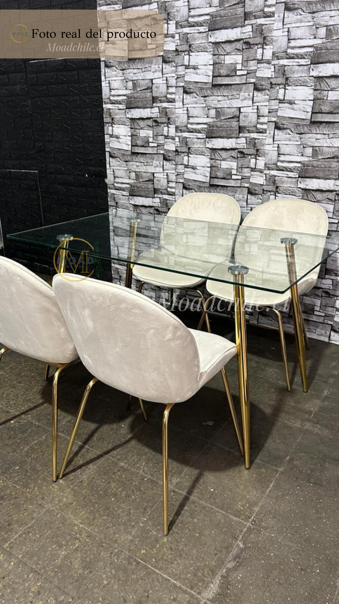 Comedor Rectangular Premium Beetle Glass 4P