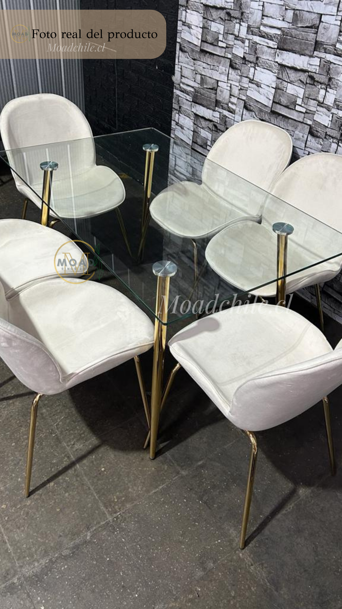 Comedor Rectangular Premium Beetle Glass 6P