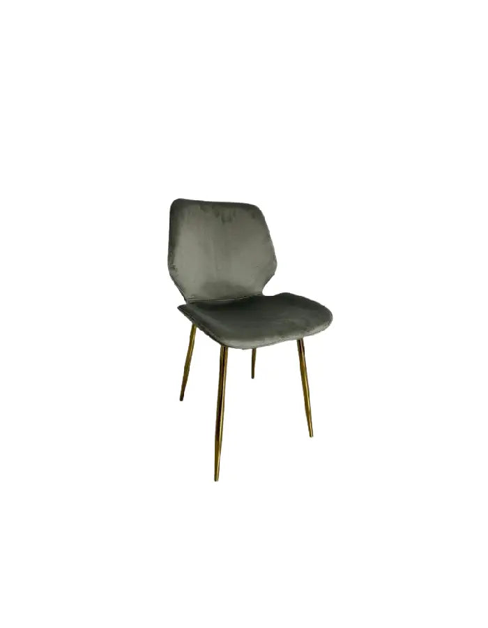 Silla Fiori Top Felpa Pata Gold