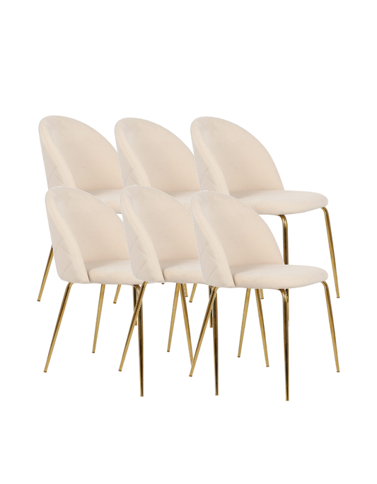 x6 Pack Silla Premium Gold