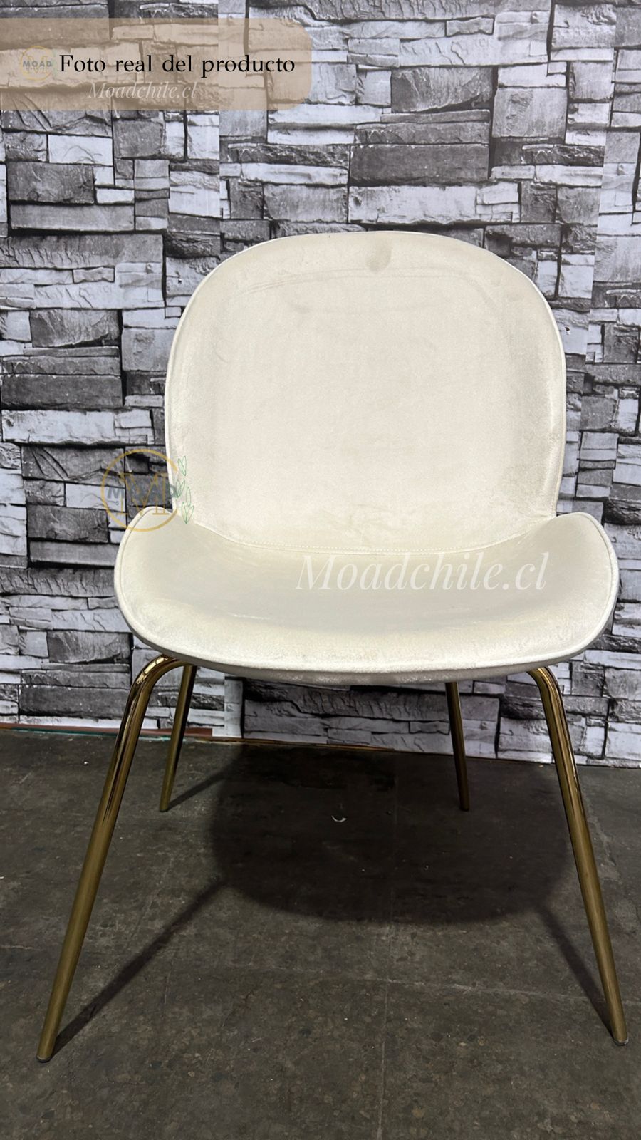 Comedor Redondo Cross Beetle 4P