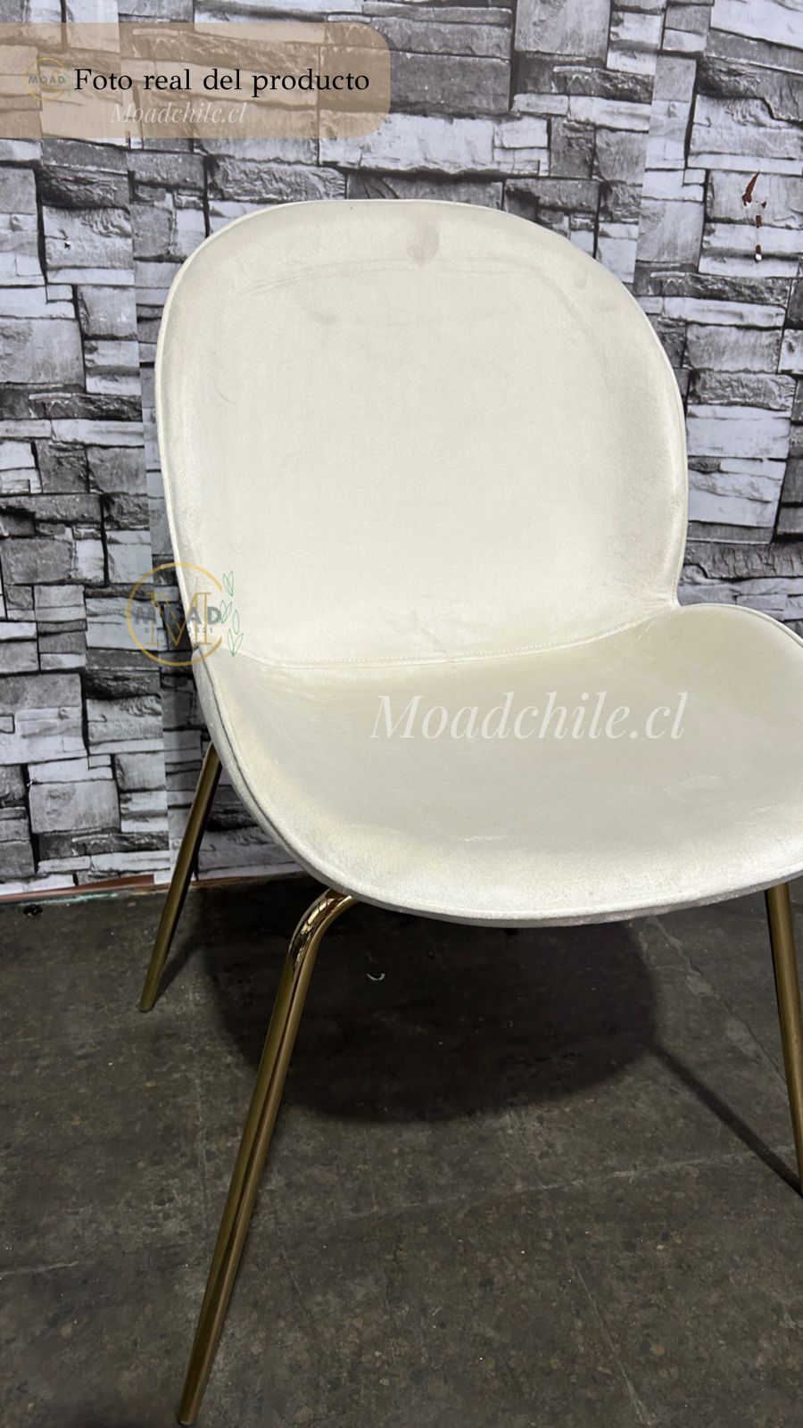 Comedor Redondo Cross Beetle 4P