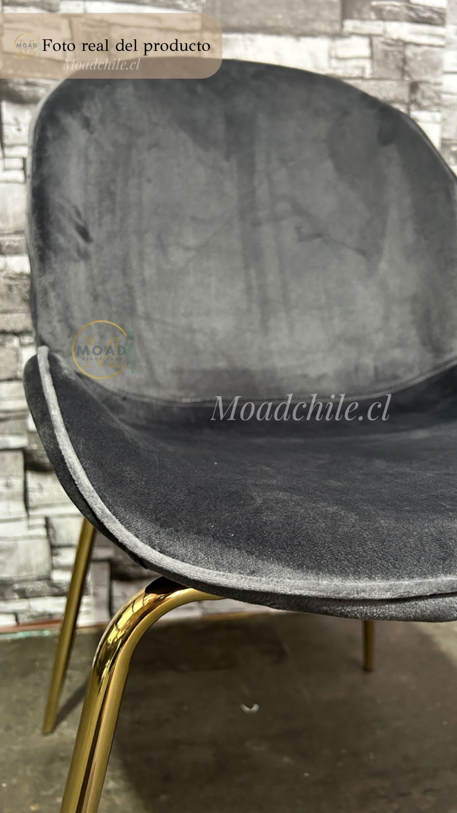 Comedor Redondo Cross Beetle 4P