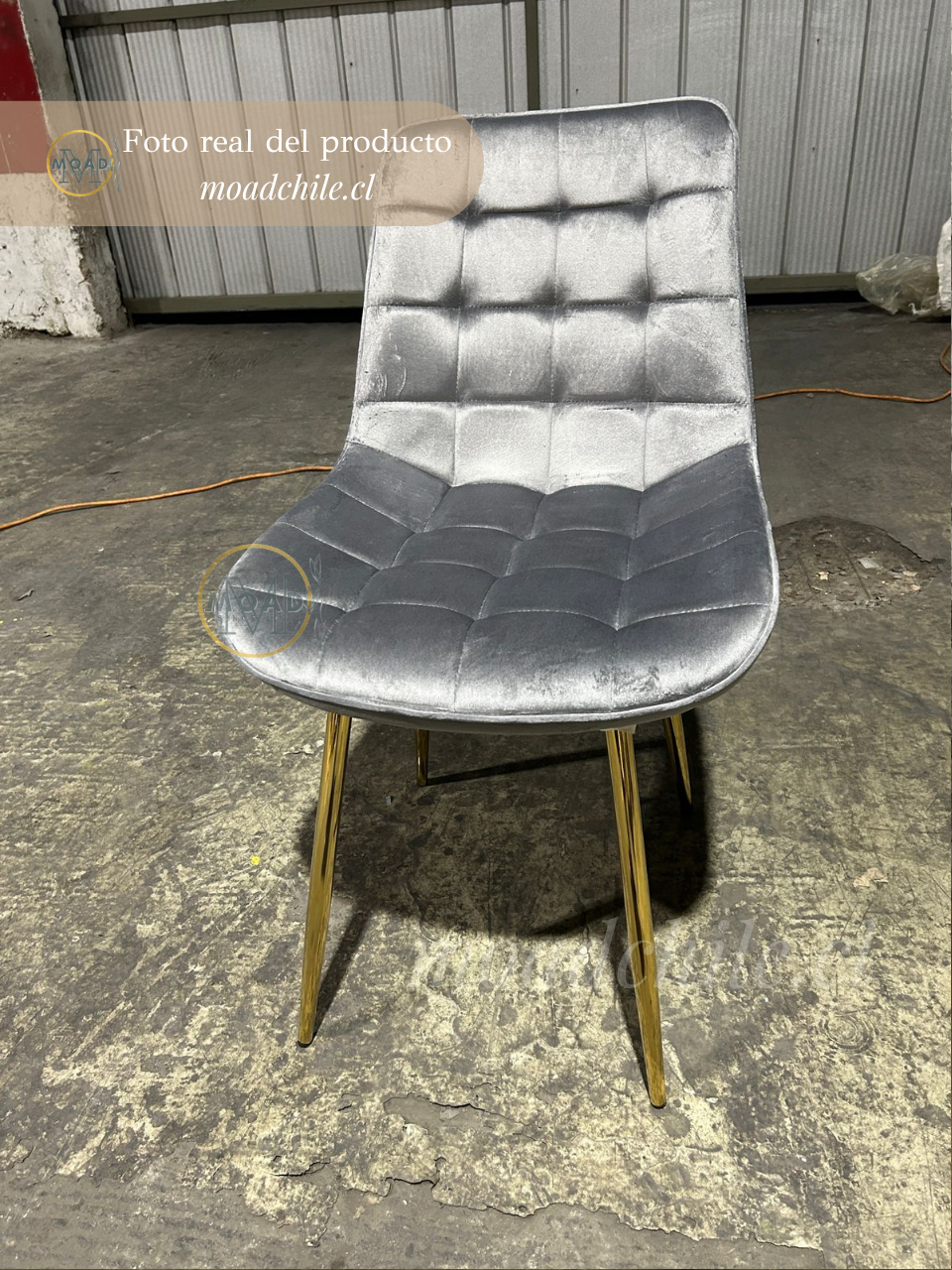 Silla de Comedor Macron Terciopelo patas doradas
