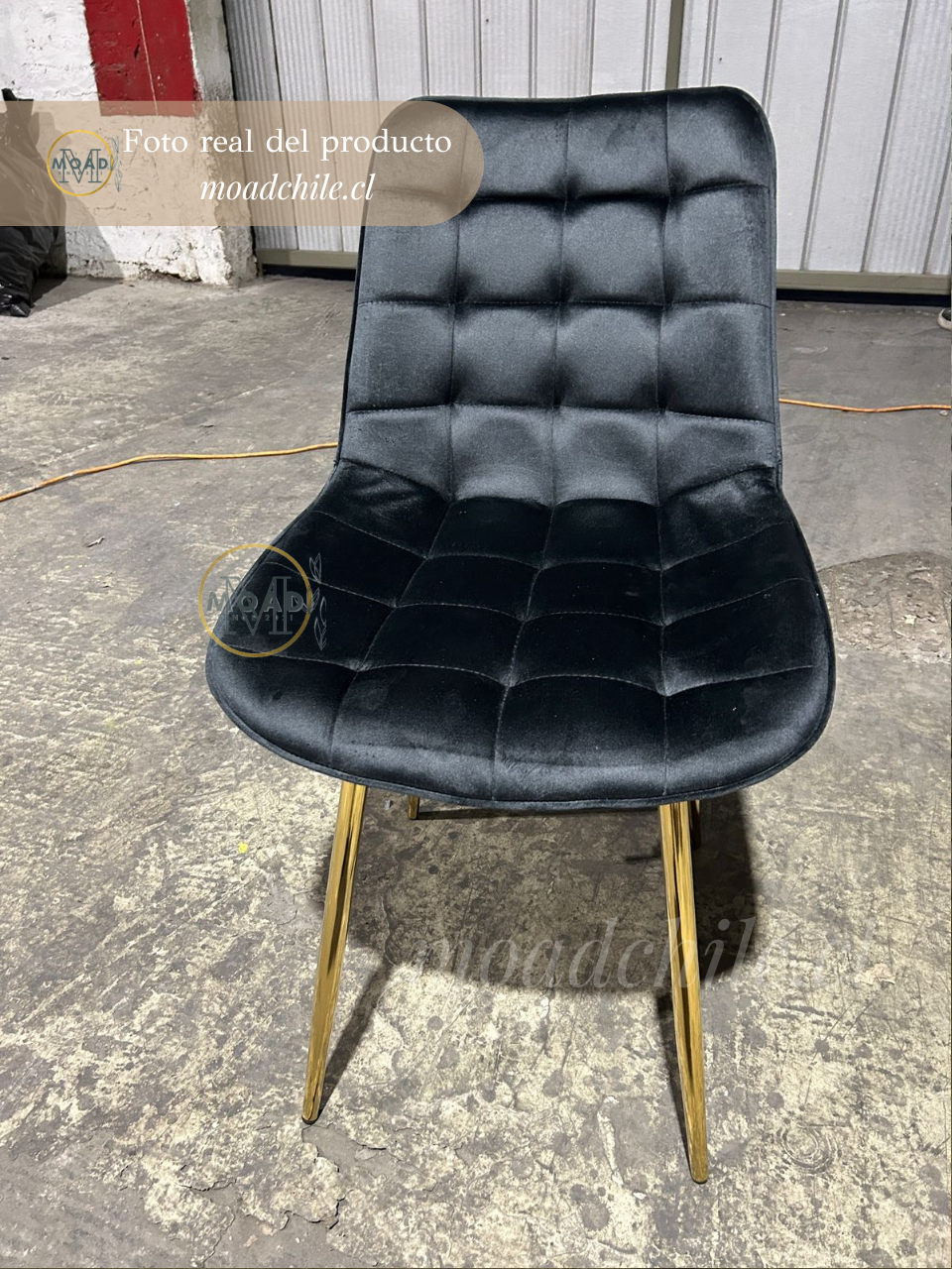 Silla de Comedor Macron Terciopelo patas doradas