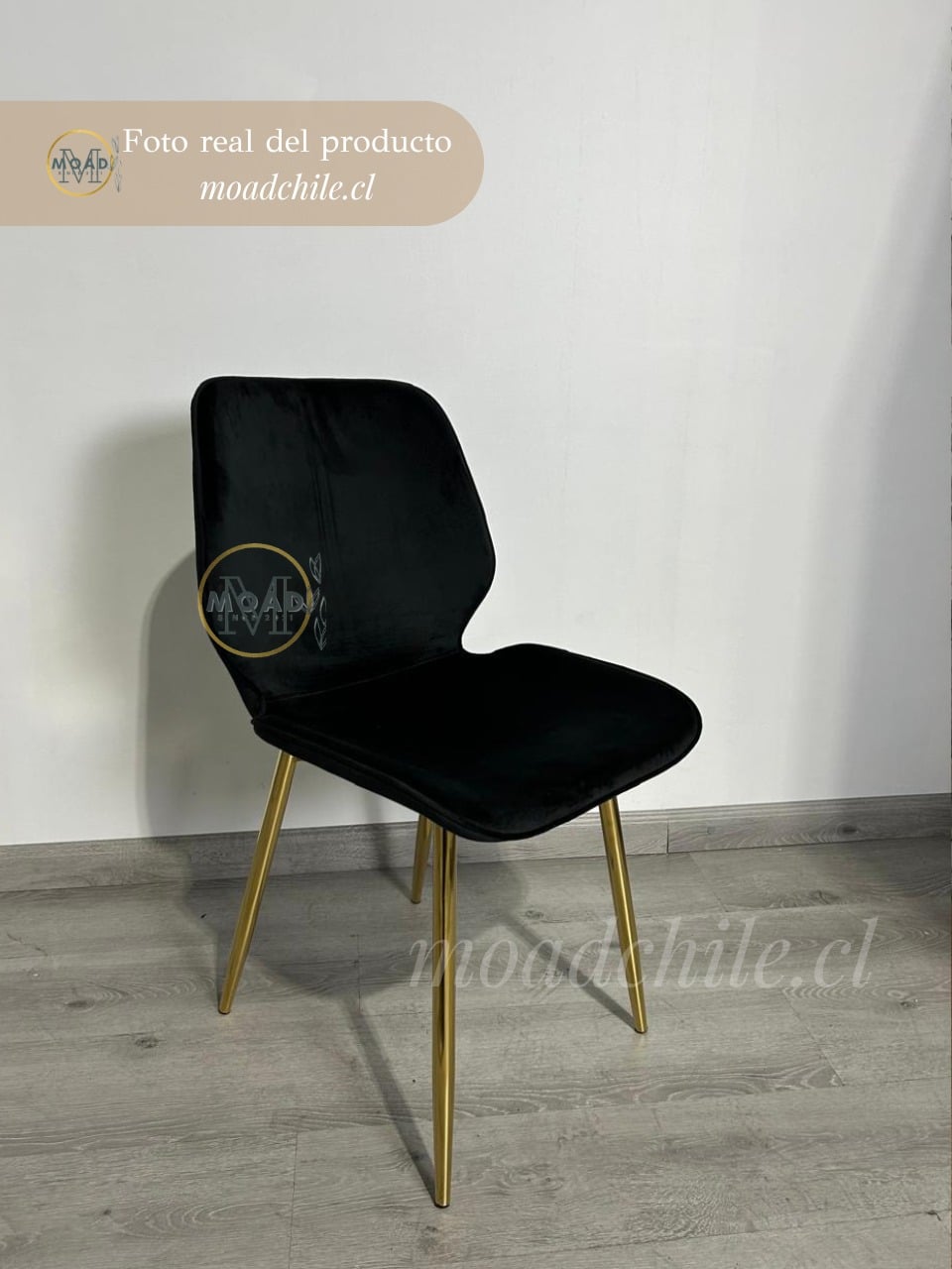 Pack 4 Sillas Fiori Top Felpa Pata Gold