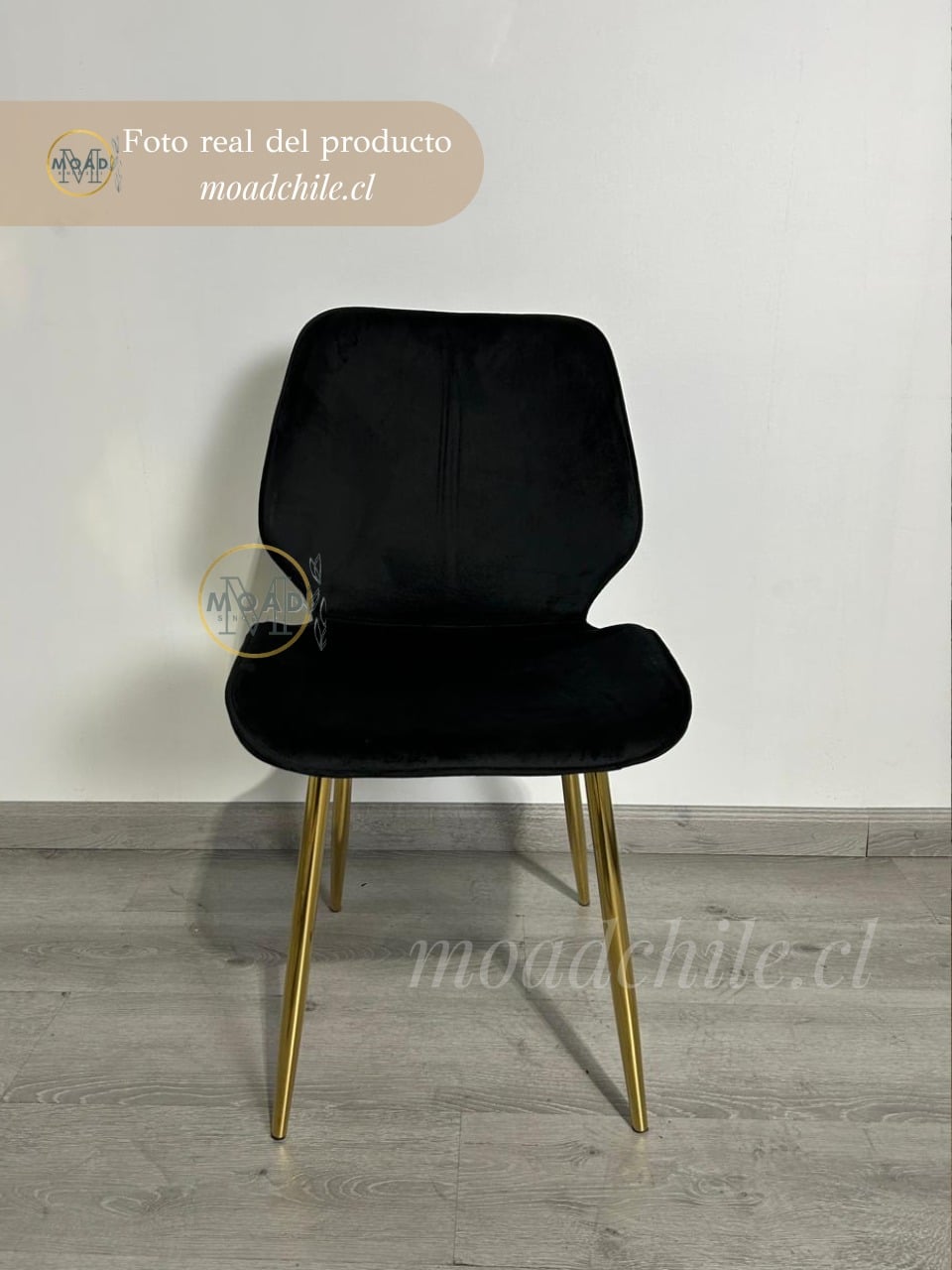 Pack 4 Sillas Fiori Top Felpa Pata Gold