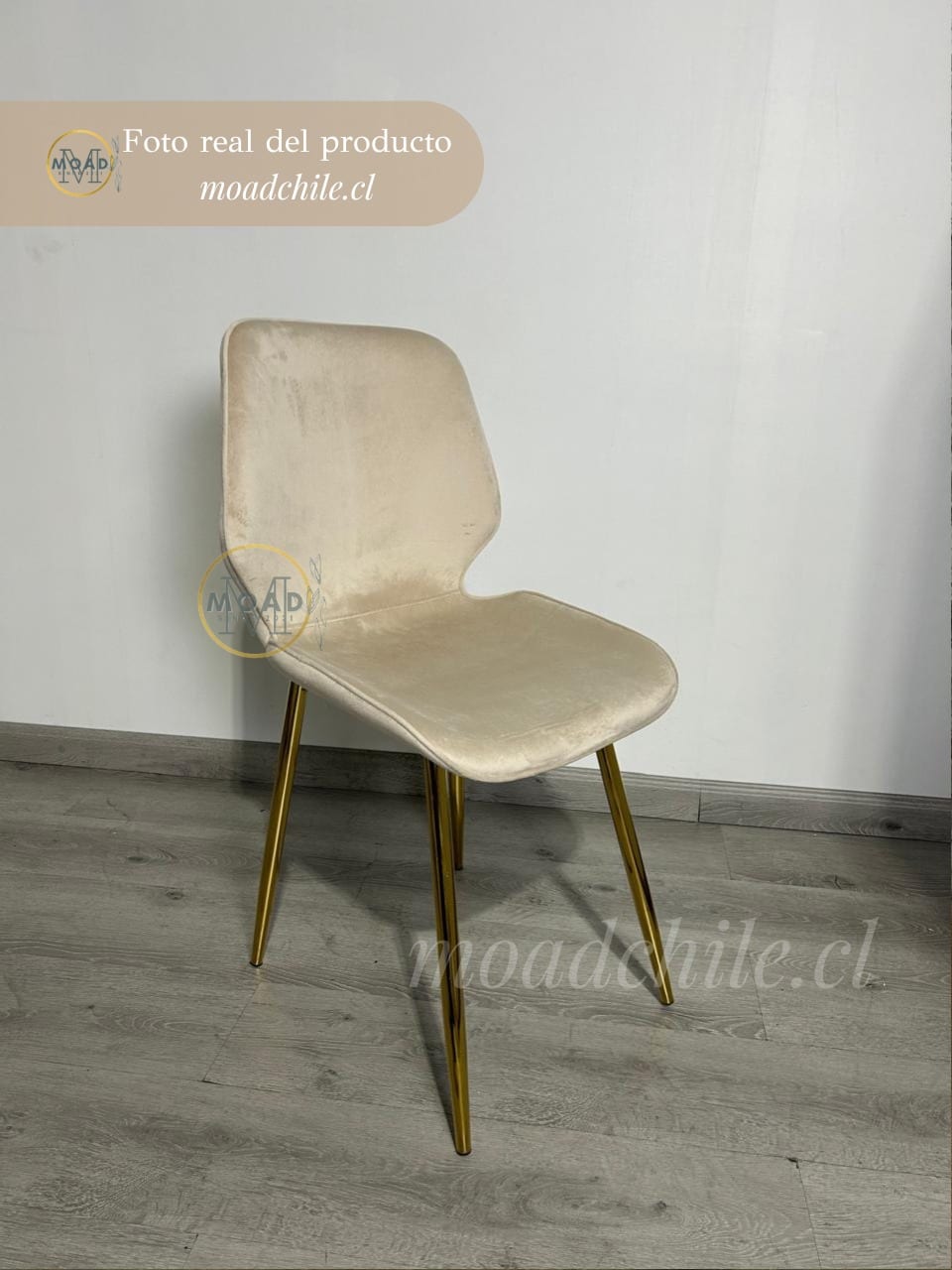 Pack 6 Silla Fiori Top Felpa Pata Gold