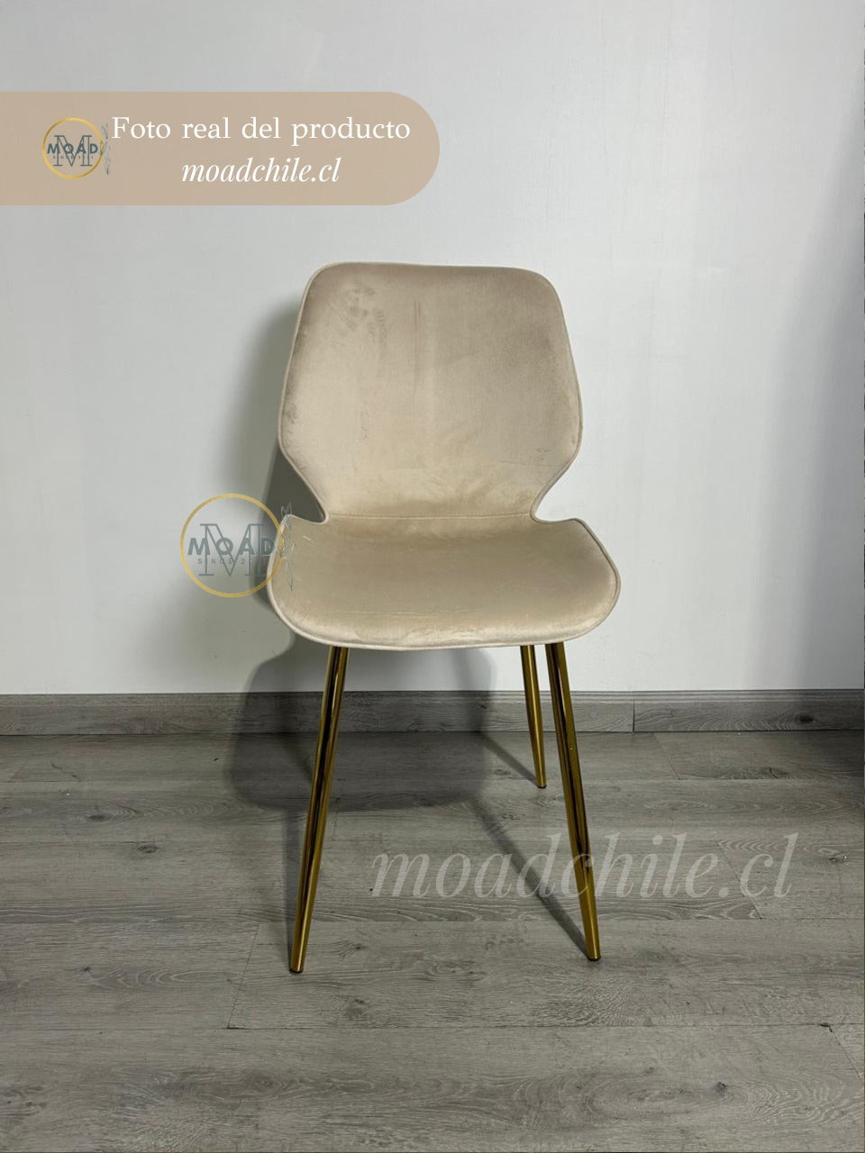 Silla Fiori Top Felpa Pata Gold