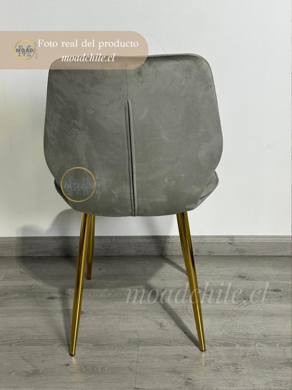 Pack 6 Silla Fiori Top Felpa Pata Gold