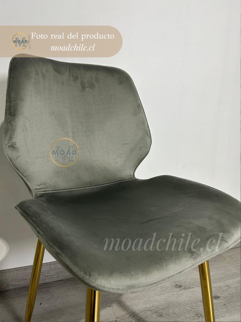 Pack 4 Sillas Fiori Top Felpa Pata Gold