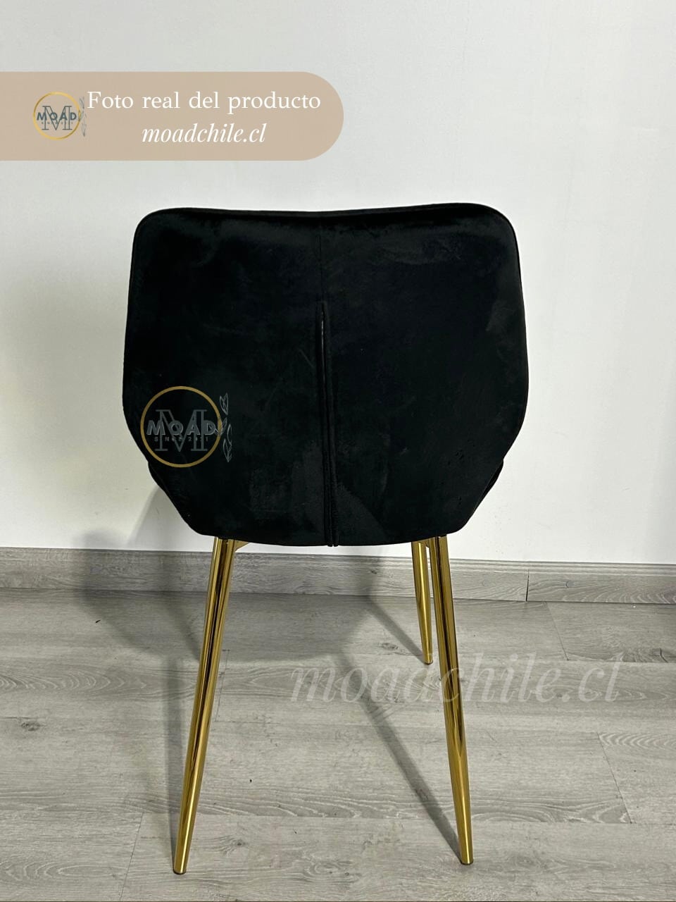 Silla Fiori Top Felpa Pata Gold