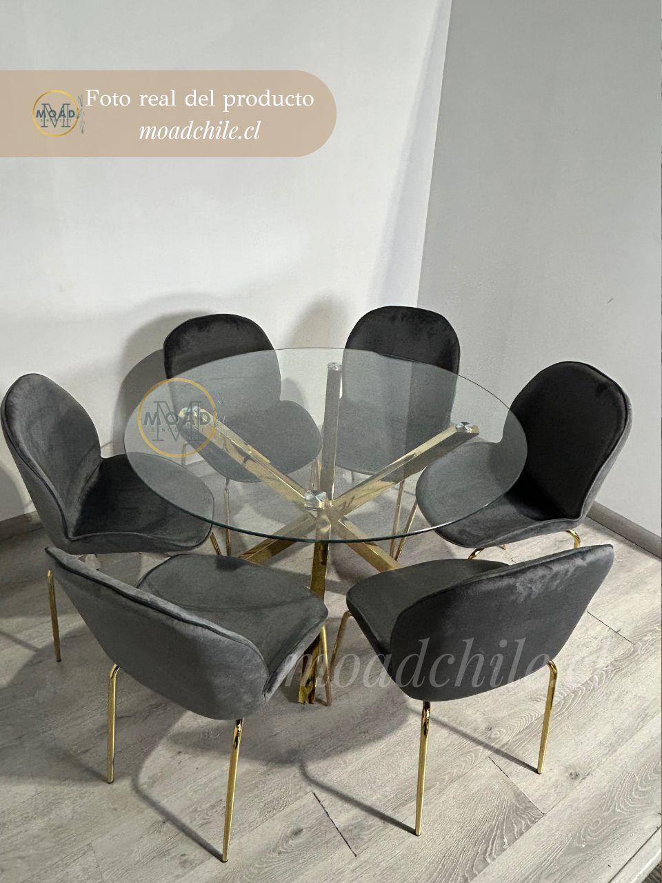 Comedor Redondo Cross Gold Bettle 6P