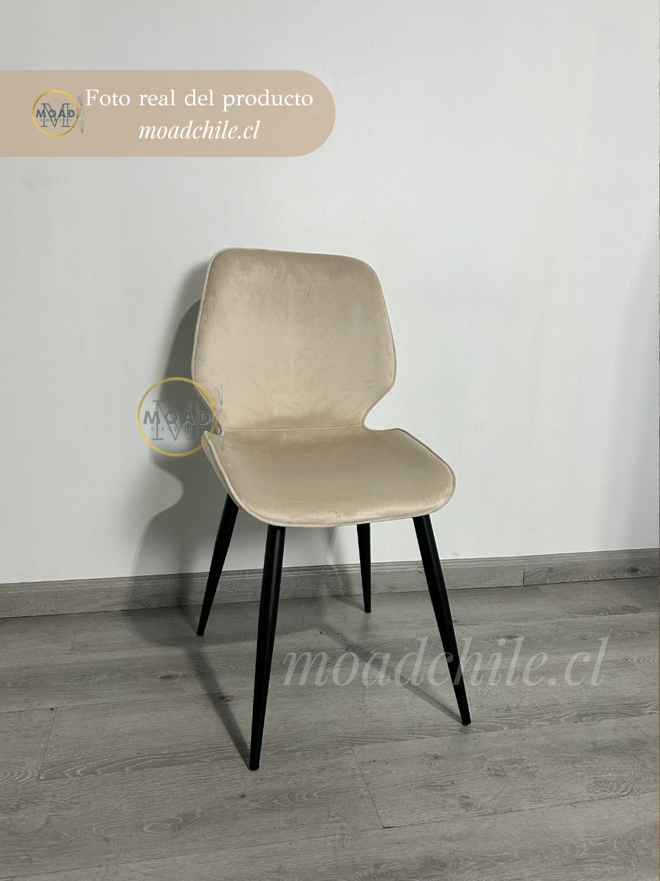Silla Fiori Top Felpa Pata Negra