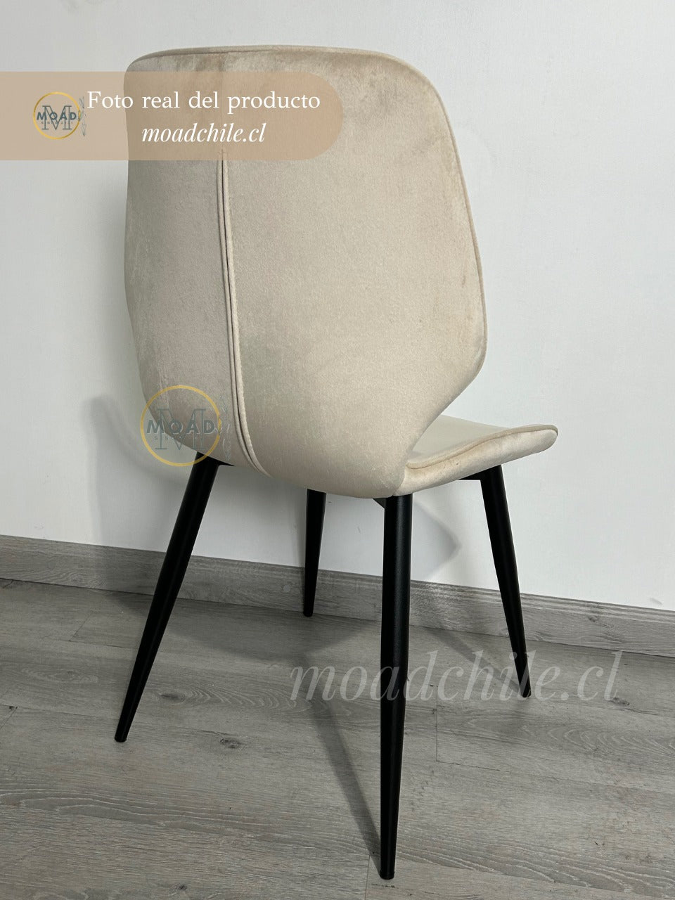 Silla Fiori Top Felpa Pata Negra