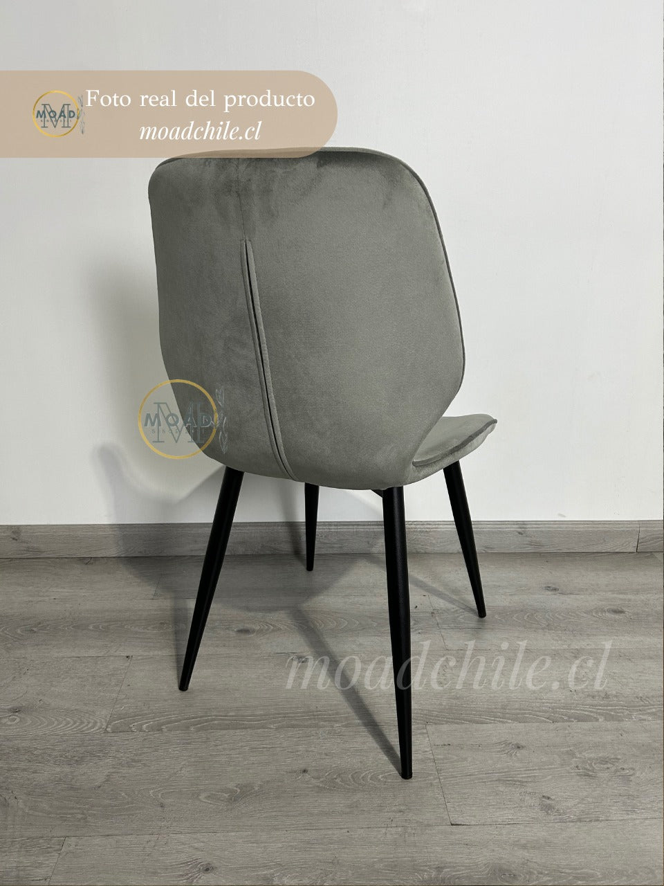 Silla Fiori Top Felpa Pata Negra