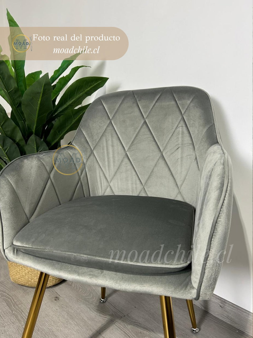 Comedor Redondo Diamante Cross Gold 4P