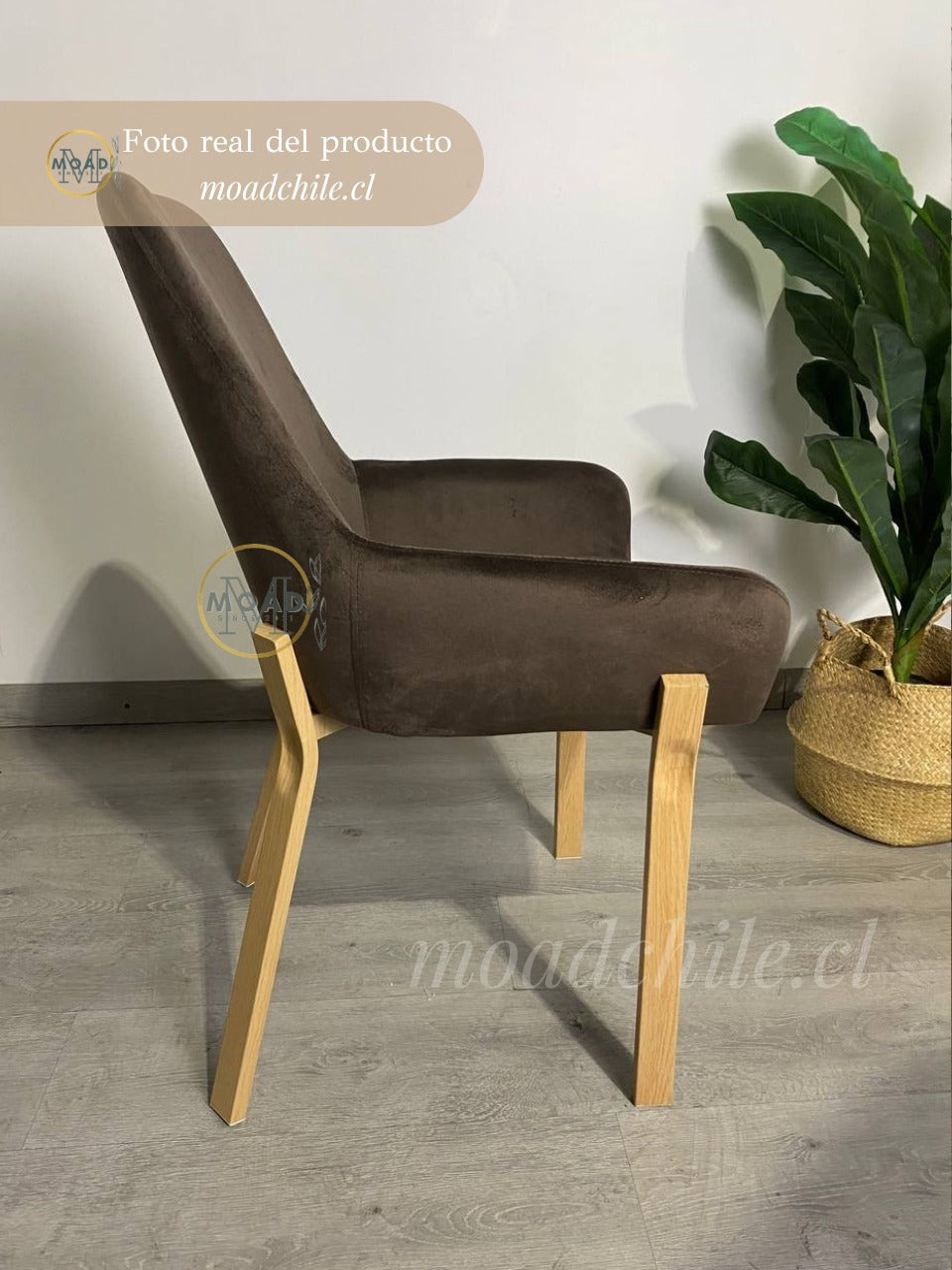 Sitial Oporto