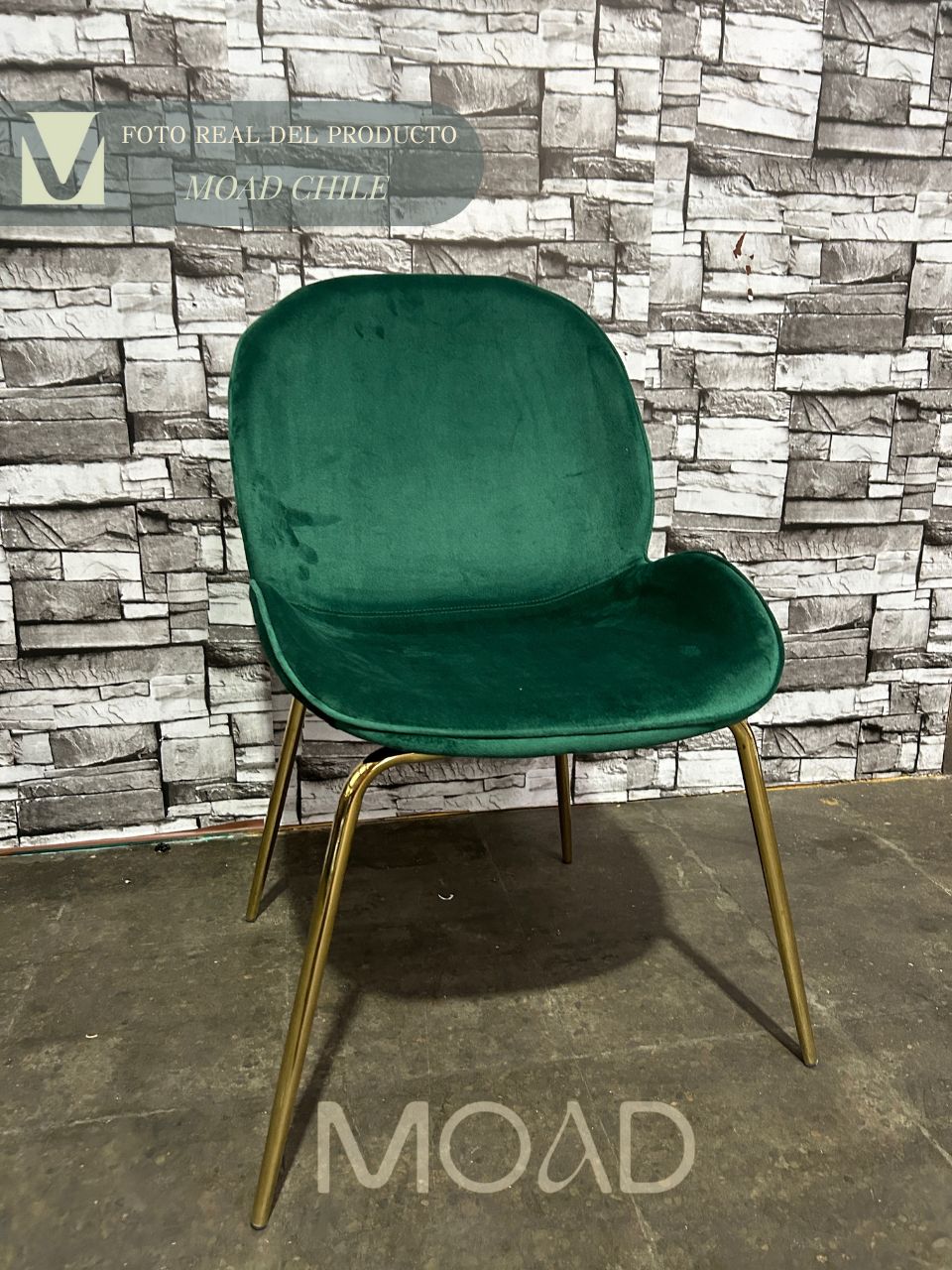 Comedor Beetle Beverly Hills Rectangular 4P