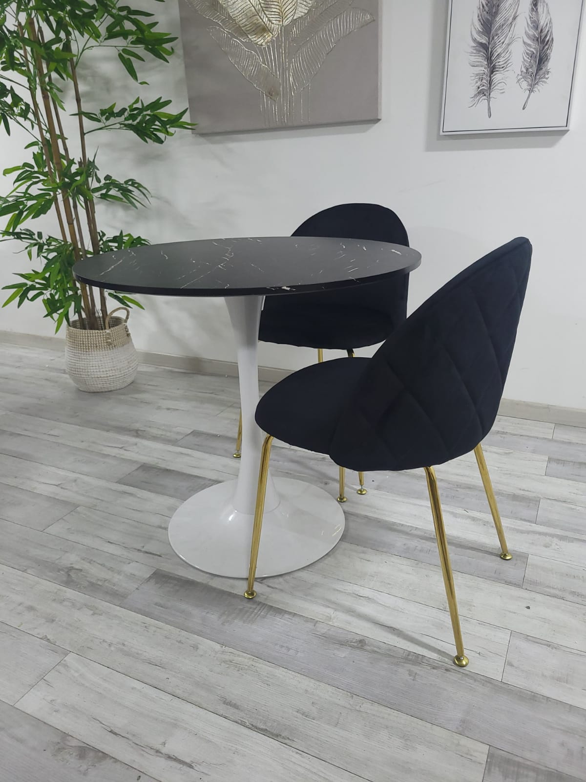 x6 Pack Silla Premium Gold